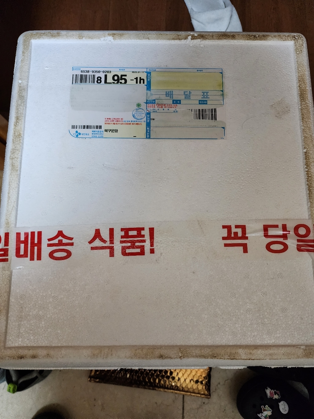 [드라이아이스포장] 디코 냉동장구벌레 디코 냉짱    / 냉동짱구벌레