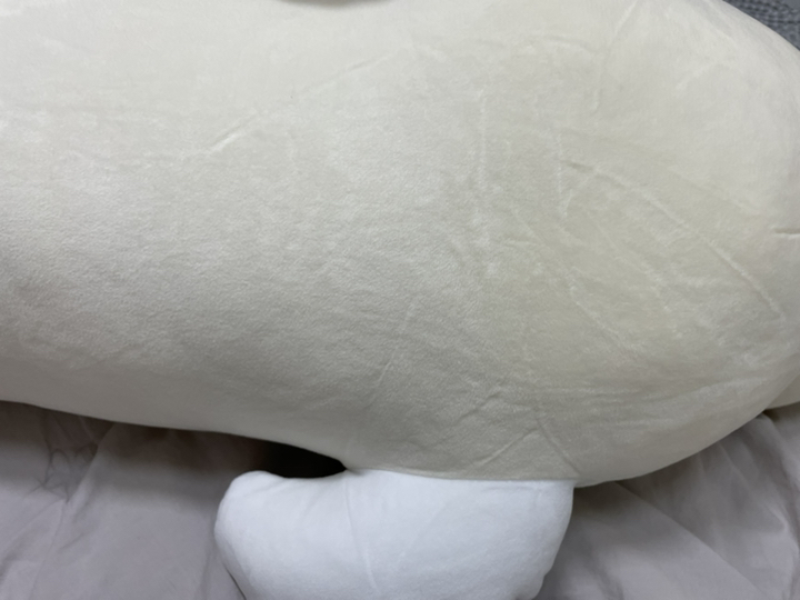 이몽 독도 강치 찹쌀 바디필로우