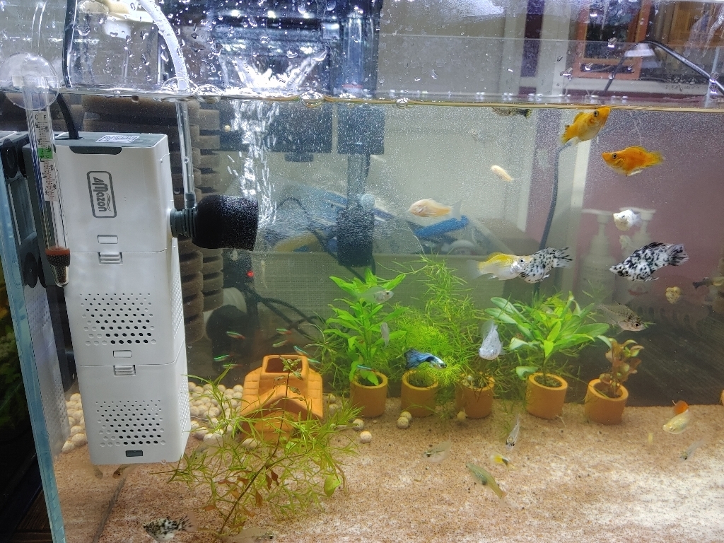 아마존 퓨어 측면 여과기 AZ-55F