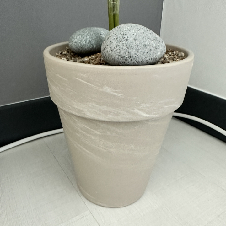 화분월드 더좋은 에그석