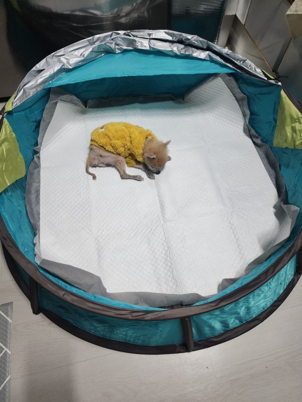 페슬러 반려견 논슬립 싸다 배변패드 왕특대형