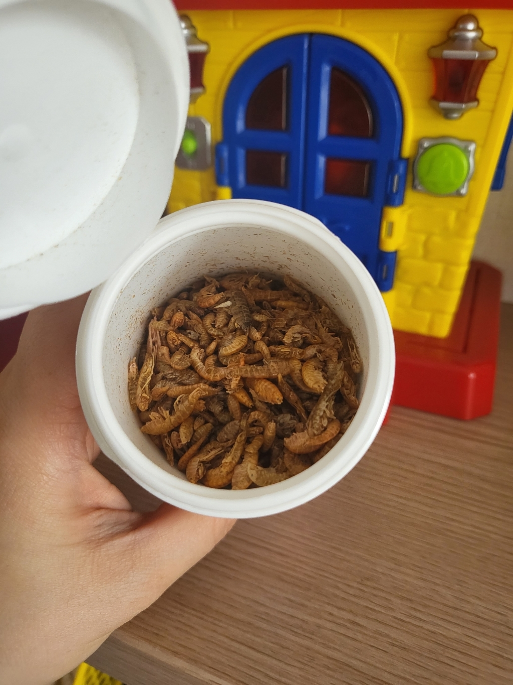 케이펫 감마루스 거북이 사료