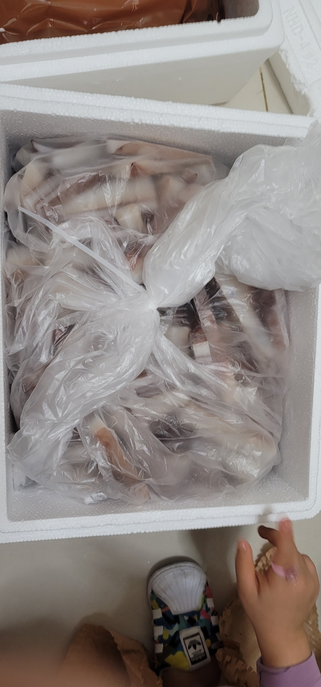 벌크 도매 대왕 업소용 오징어볶음용 오징어귀채 페루산/칠레산