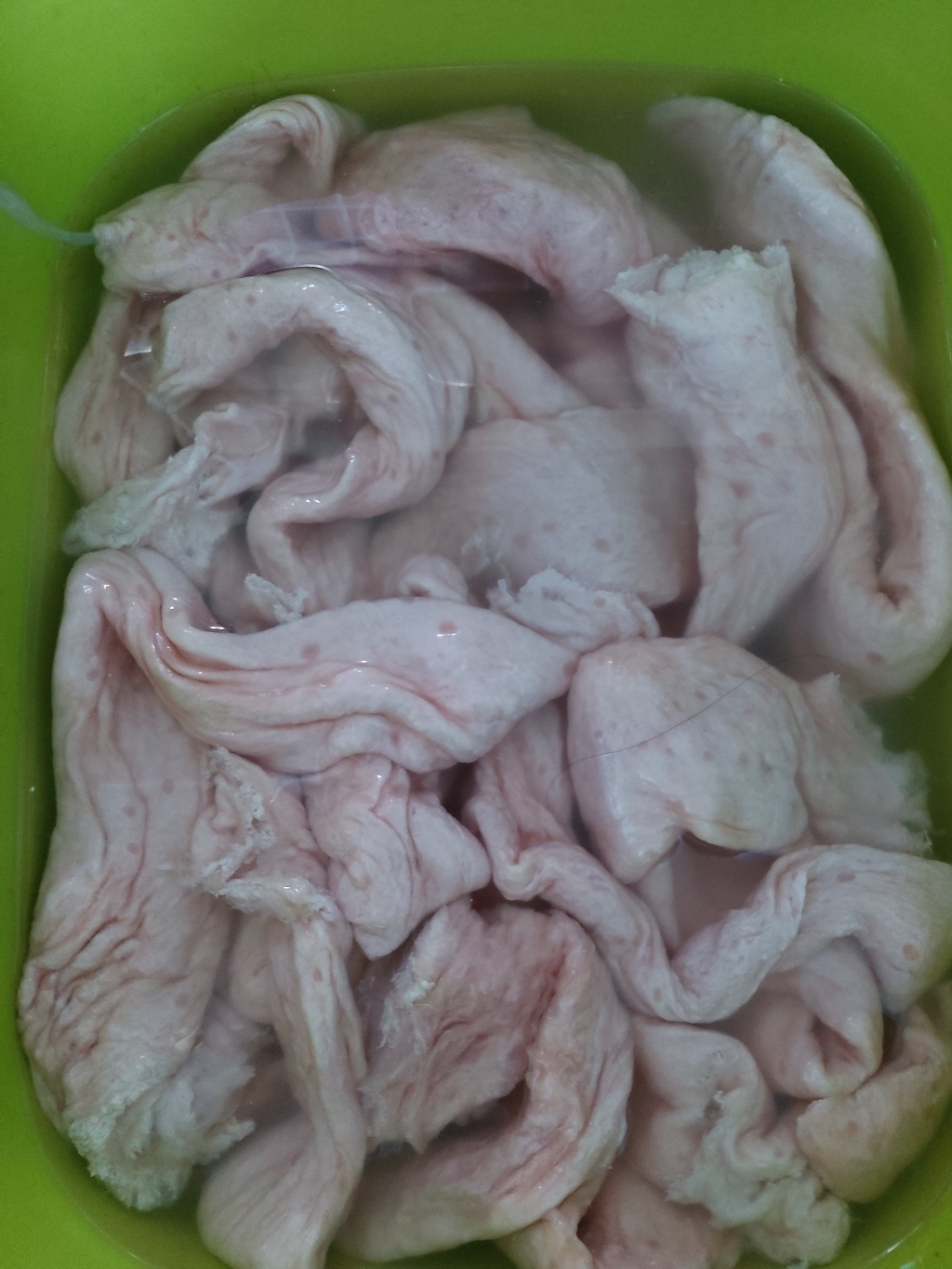 과일숙성 대구 막창 돼지 초벌막창 불막창 생막창 캠핑음식 요리