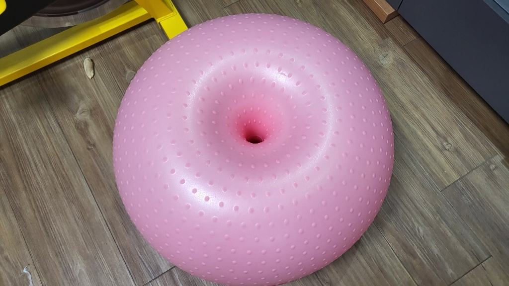 딩동펫 반려동물 탄탄 밸런스 짐볼