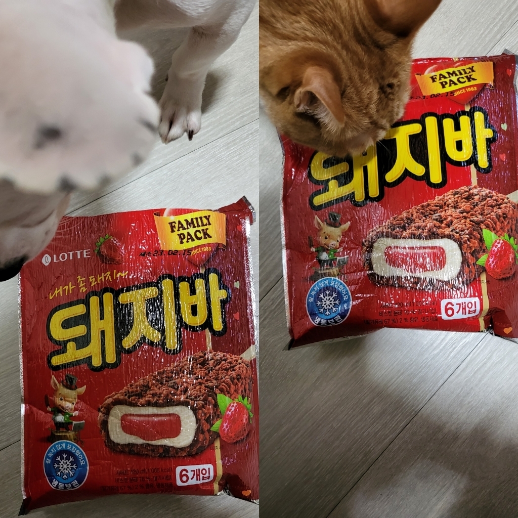 돼지바 아이스크림 리뷰 후기