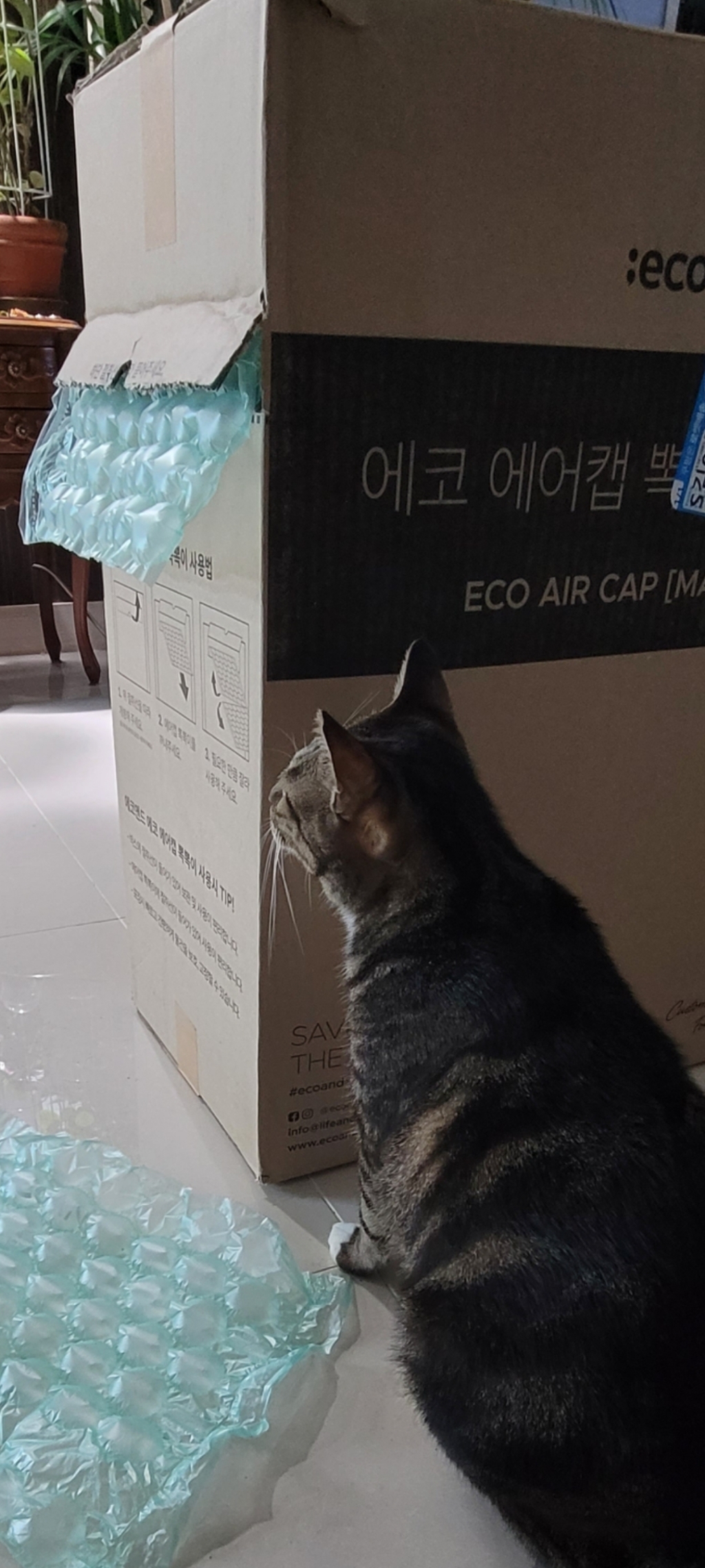 에코앤드 에코 에어캡 뽁뽁이