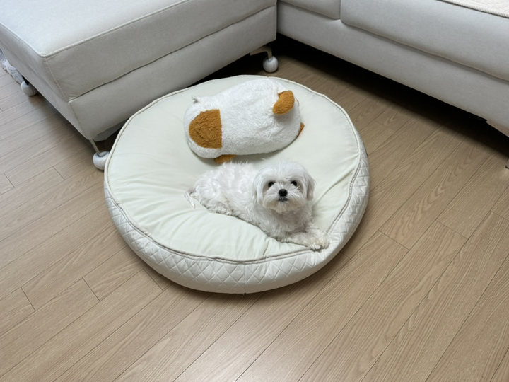 초코펫하우스 강아지 쿠션 무중력 우주 방석 2.0, 아이보리, 소형, 1개