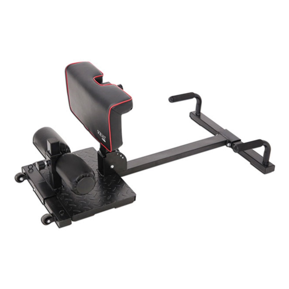 가정에서 만드는 헬스 클럽, 로베라 올인원 멀티 스쿼트머신