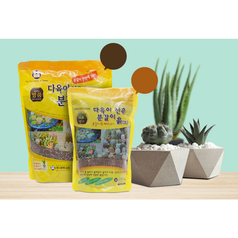 화분월드 다육이 전용 분갈이흙으로 건강하고 아름다운 다육이 정원을 가꾸세요.