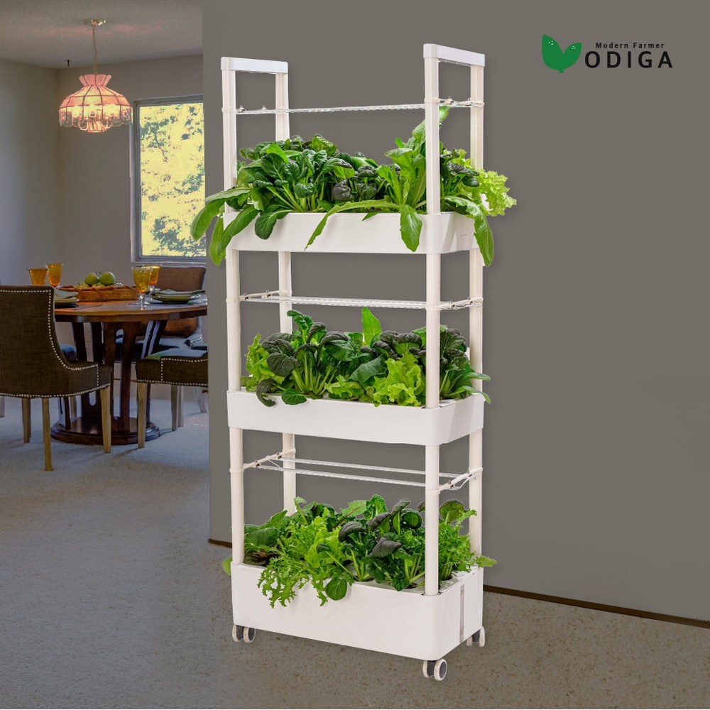 오디가 수경재배기: 가정에 싱싱한 채소밭을 만드세요!