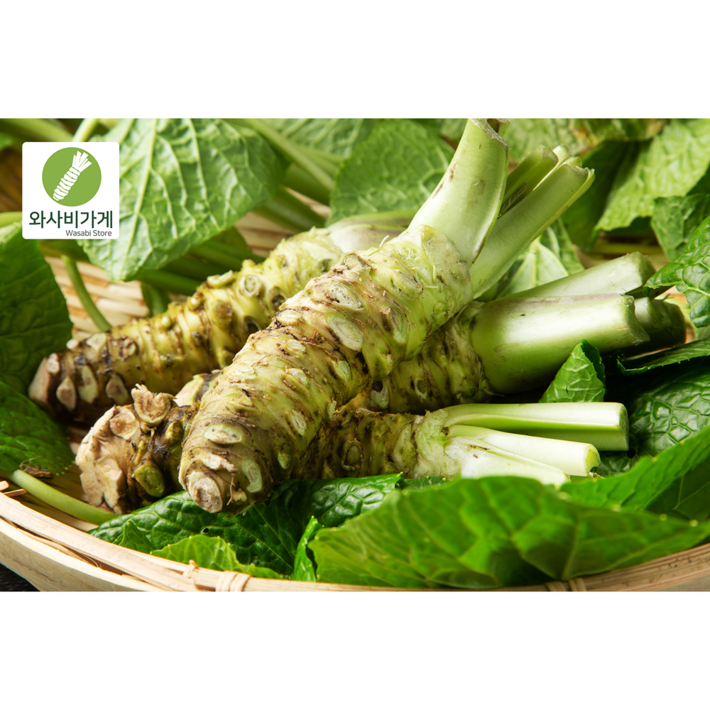 자연 그대로의 생와사비로 요리를 특별하게