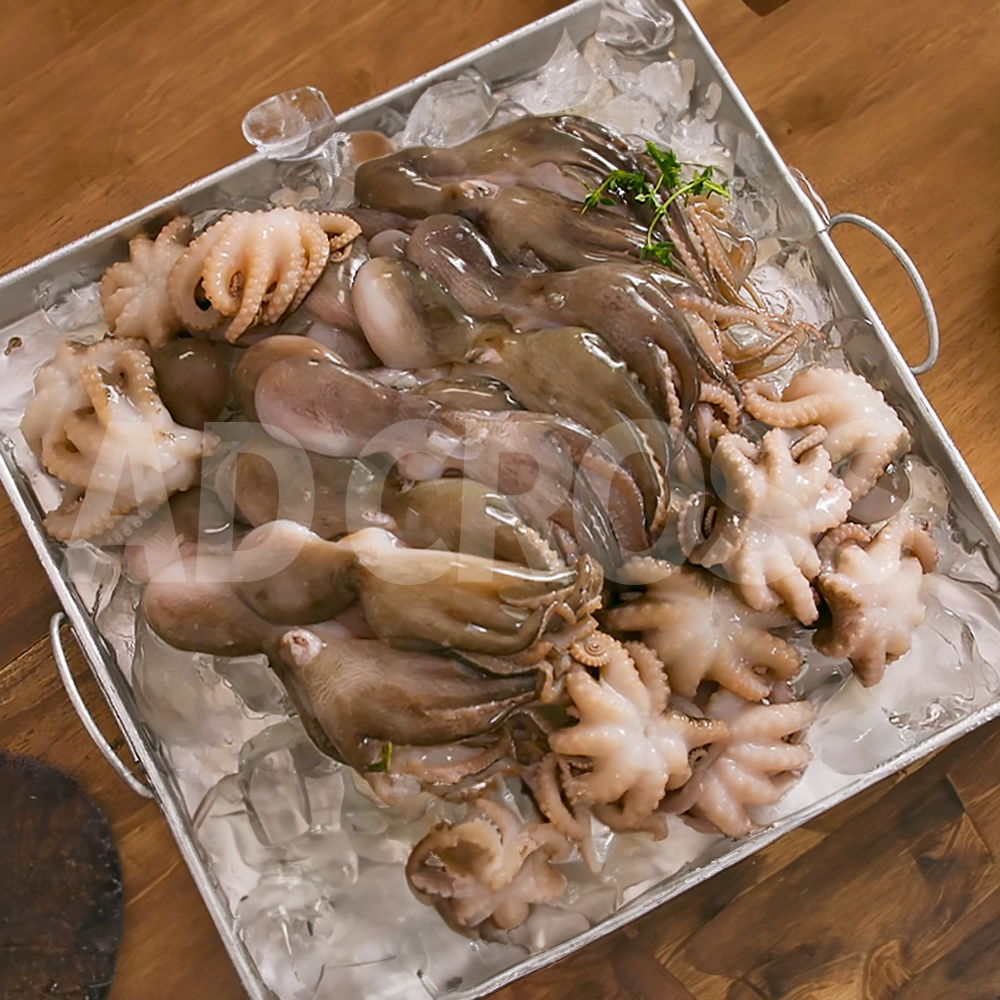 싱싱함 가득, 쫄깃한 식감! 애드크로스 자연산 손질 쭈꾸미