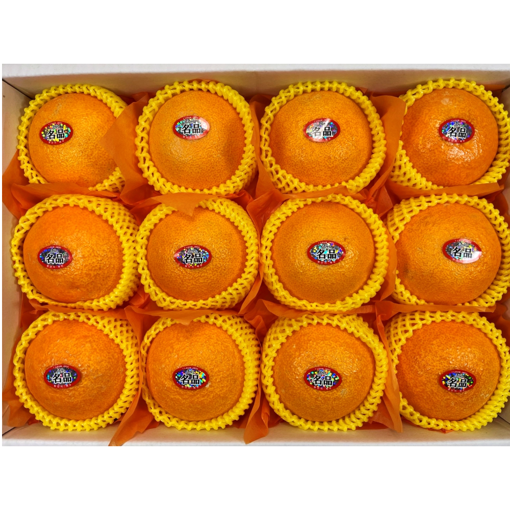 입안 가득 퍼지는 달콤함, 제주 황금향 정품 세트!