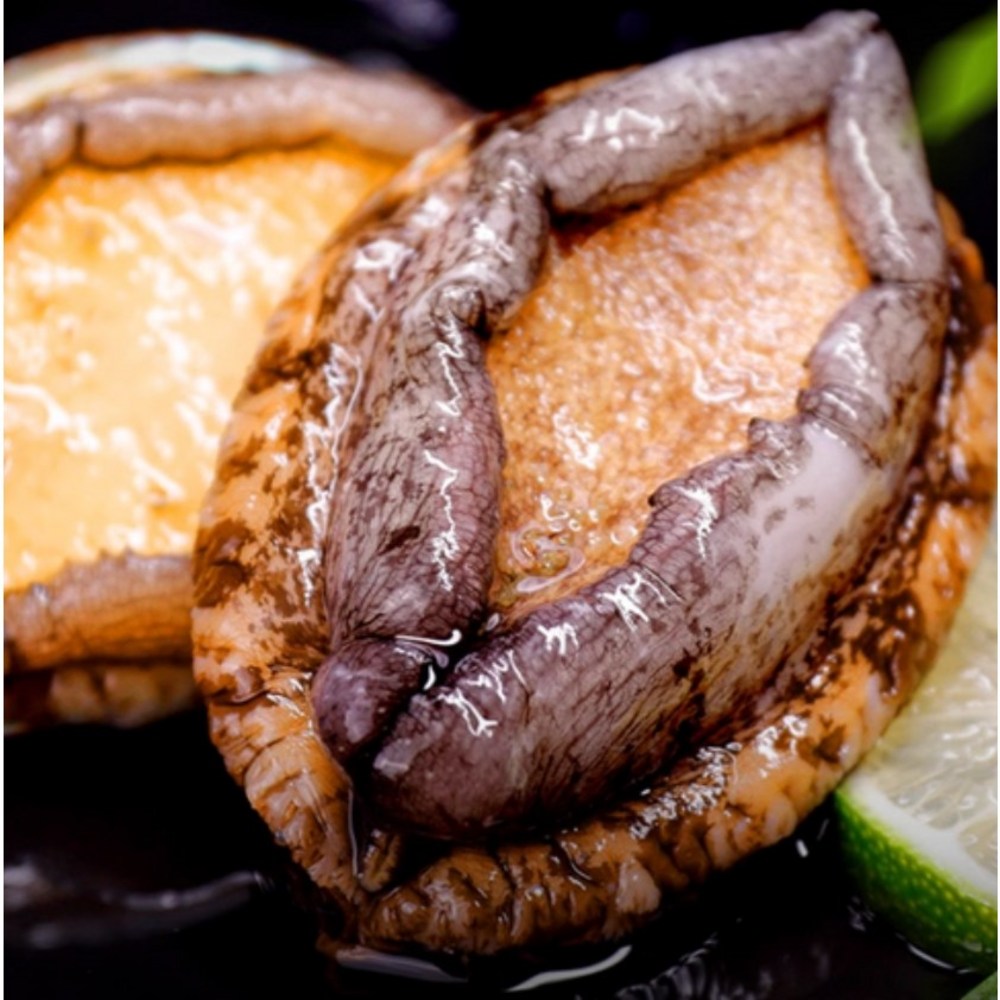 완도 청정 바다의 숨결, 왕특대 전복으로 전하는 특별한 선물