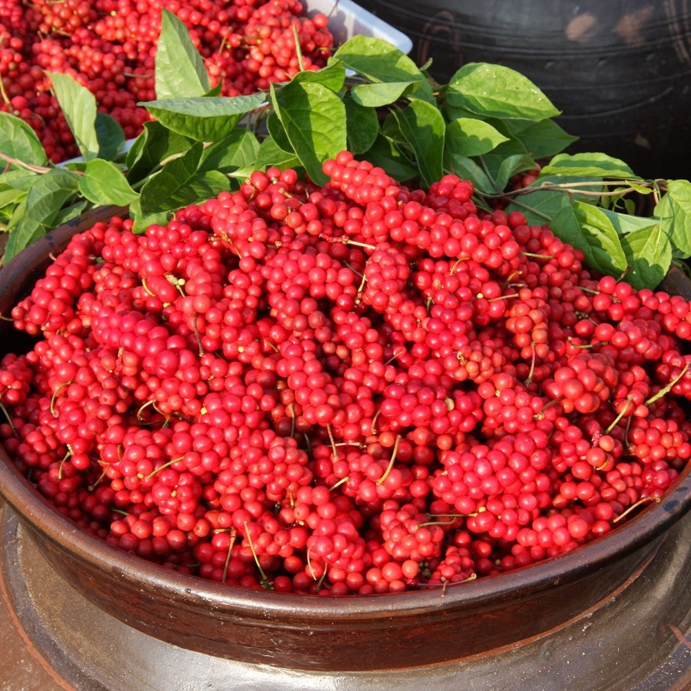 문경의 청정함을 담은 냉동 세척 생오미자로 건강과 맛을 한 번에!