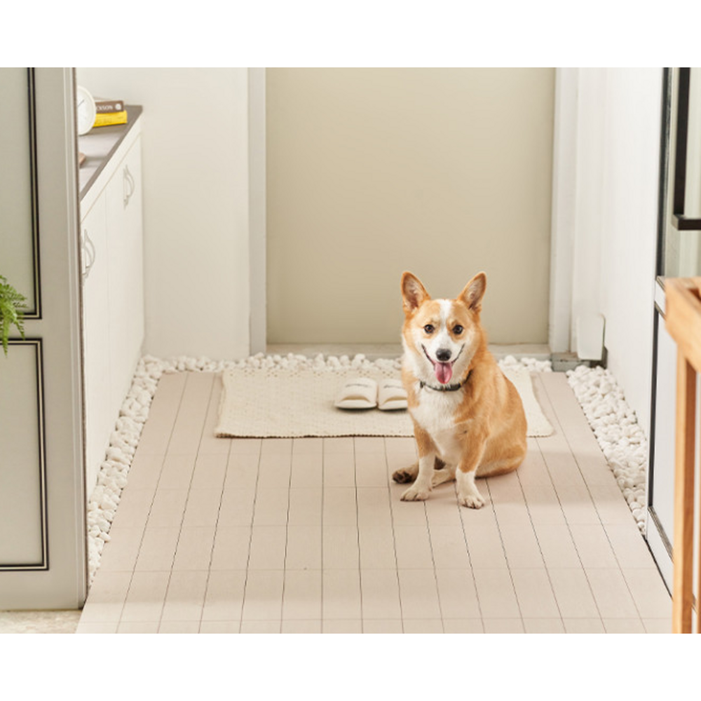 자연이 선사하는 아름다움, 화이트 자갈로 일상에 특별함을 더하세요.