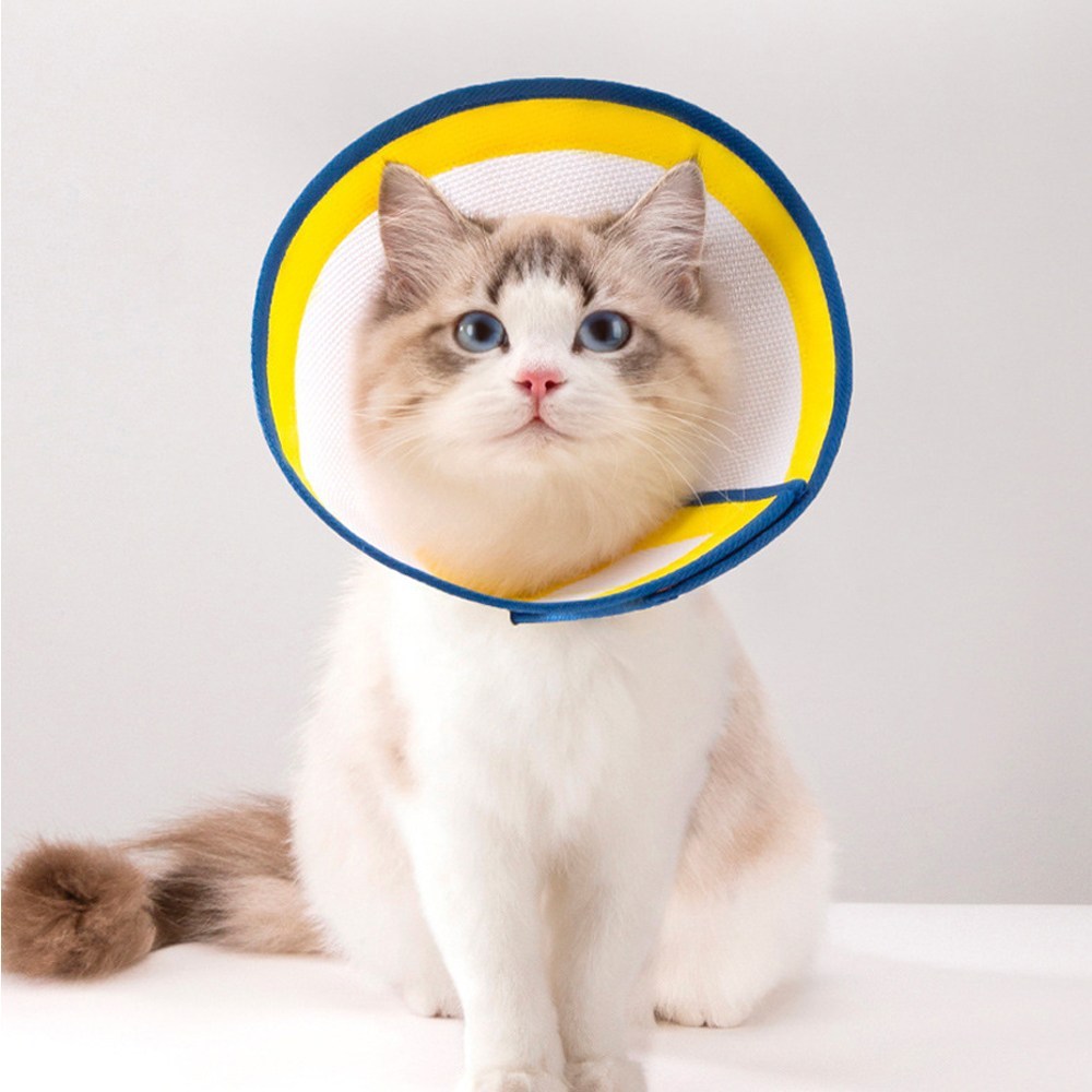 반려동물의 편안한 여정을 위한 펫트에일 초경량 메쉬 넥카라