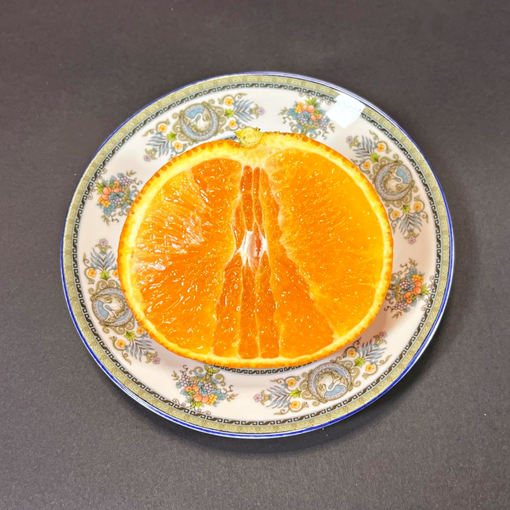 입안 가득 퍼지는 달콤함, 제주 황금향 정품 세트!