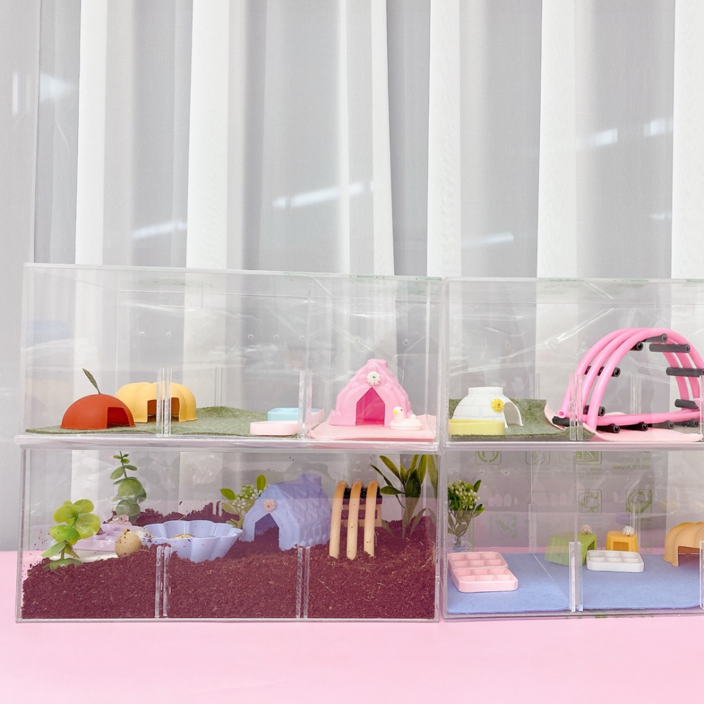 달팽이를 위한 완벽한 사육 환경