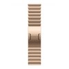 Apple 정품 2024 애플워치 링크 브레이슬릿, 골드, 1개, 44/45/46/49mm