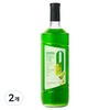 네이쳐티 zero 청포도 시럽, 2개, 1L