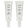 투크 트렌스페어런트 컬러 코렉팅 수채화 베이스 40ml, 02페일블루라벤더, 2개