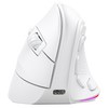 아이노트 LED 충전식 9버튼 무선 블루투스 버티컬 마우스, VM530RB, WHITE