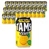 탐스제로 파인애플 탄산음료, 355ml, 24개