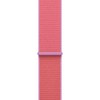 Apple 정품 애플워치 스포츠 루프, 그라이트 구아바, 46mm, Regular, 1개