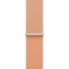 Apple 정품 애플워치 스포츠 루프, 캔털 루프, 42mm, Regular, 1개