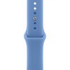 Apple 정품 애플워치 스포츠 밴드, 와일드플라워 블루, 40mm, M/L, 1개