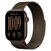 Apple 2026 애플워치 시리즈 12, 다크 브론즈, 46mm, GPS, 알루미늄, 다크 브론즈 밀레니즈 루프, S/M