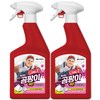 홈스타 뿌리는 곰팡이 싹 세정제, 900ml, 2개