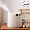 위닉스 올바른 가열식 가습기 6.0 6L, 베이지화이트, WLSE600-PEK