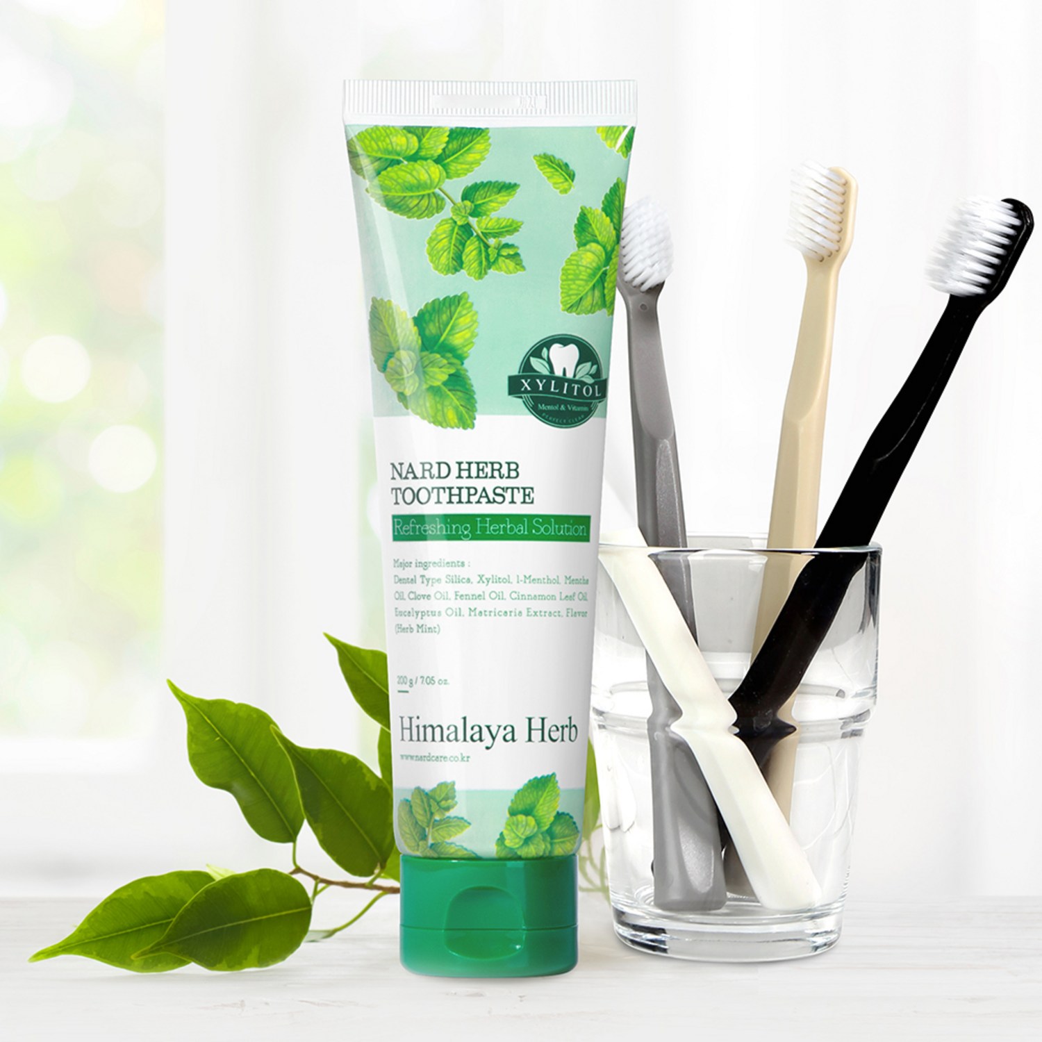 상쾌한 입안호흡으로 자신감 있는 삶을