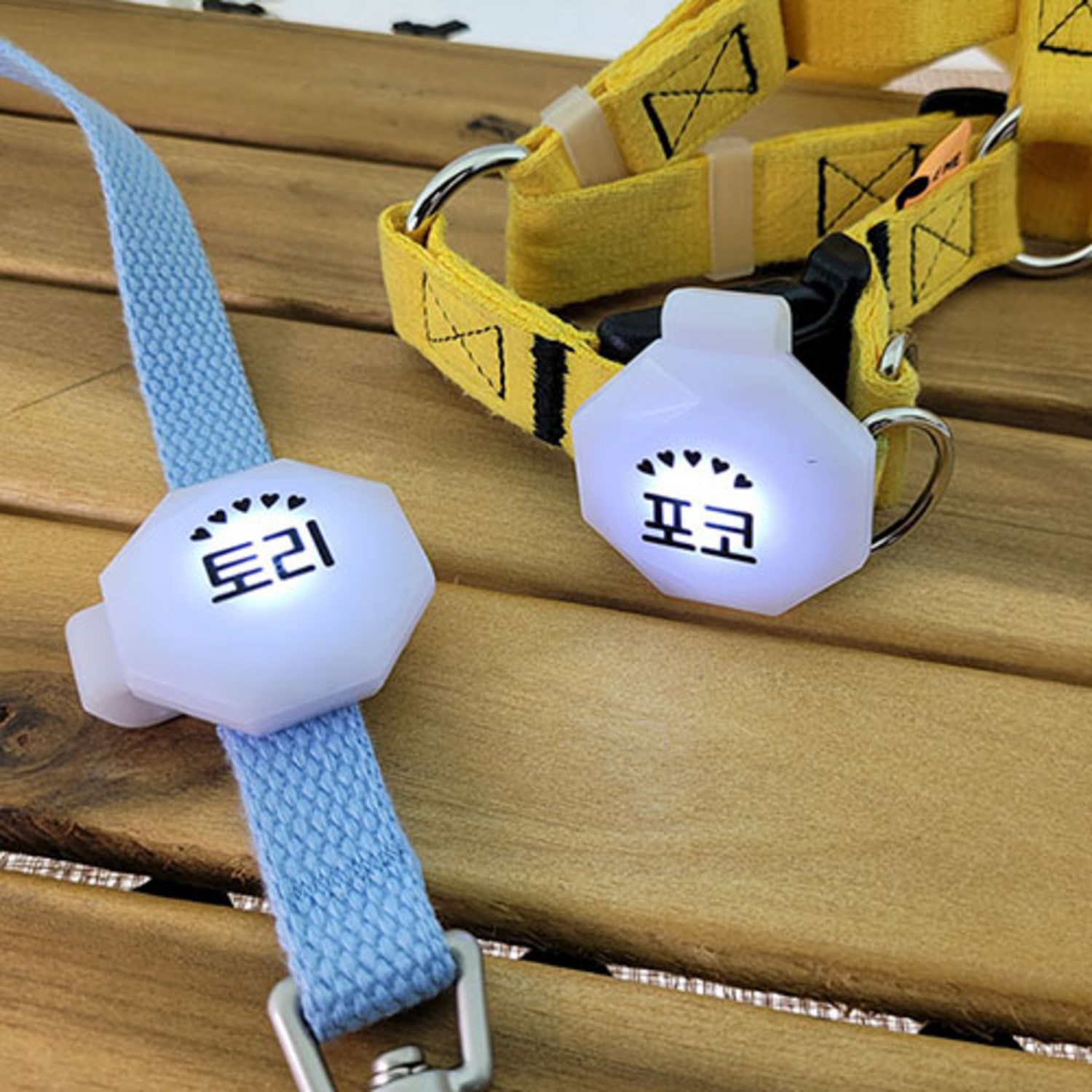 사랑하는 반려견의 안전을 위해 꼭 필요한 아이템