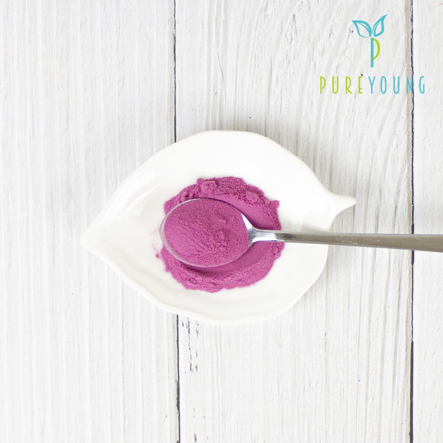 블루베리로 건강을 지키세요