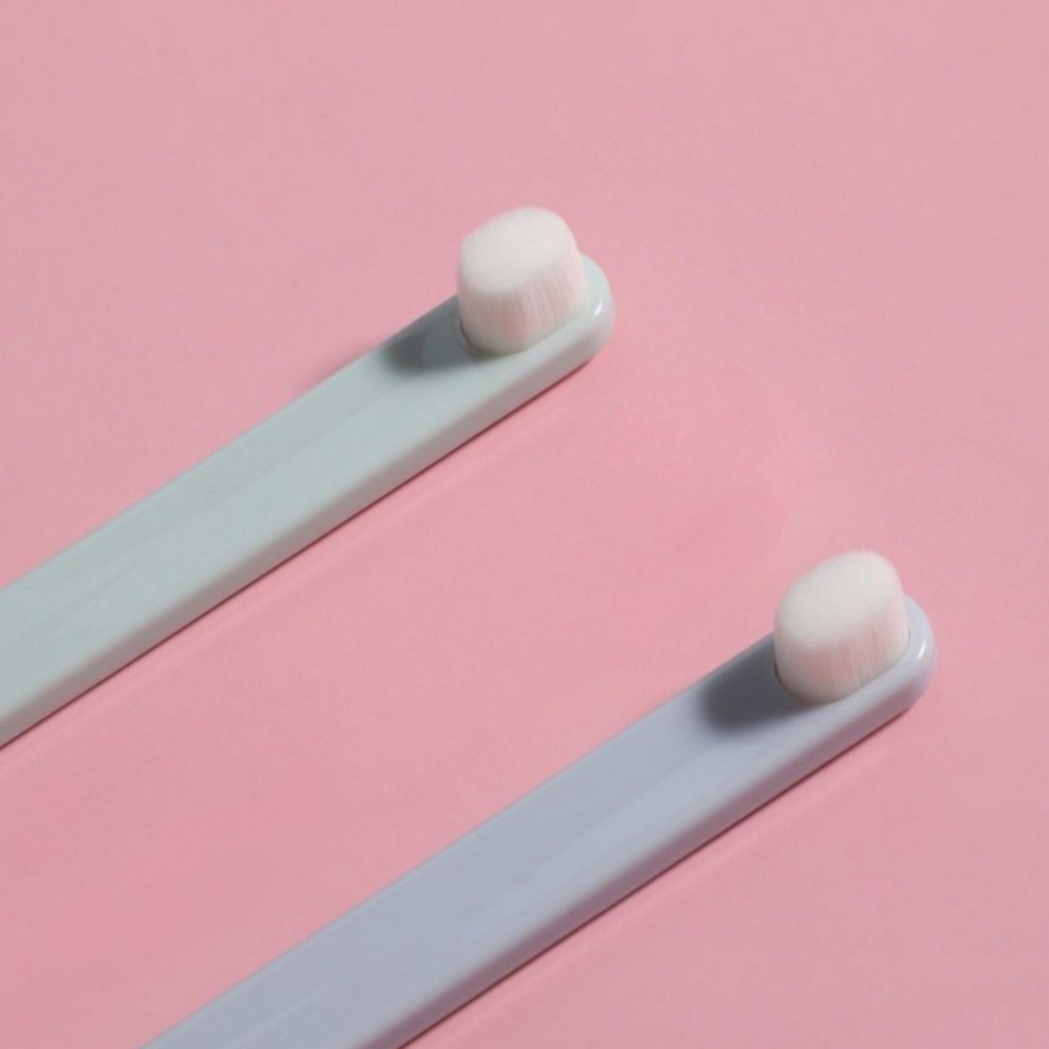 반려동물 구강 건강을 지키는 필수 아이템