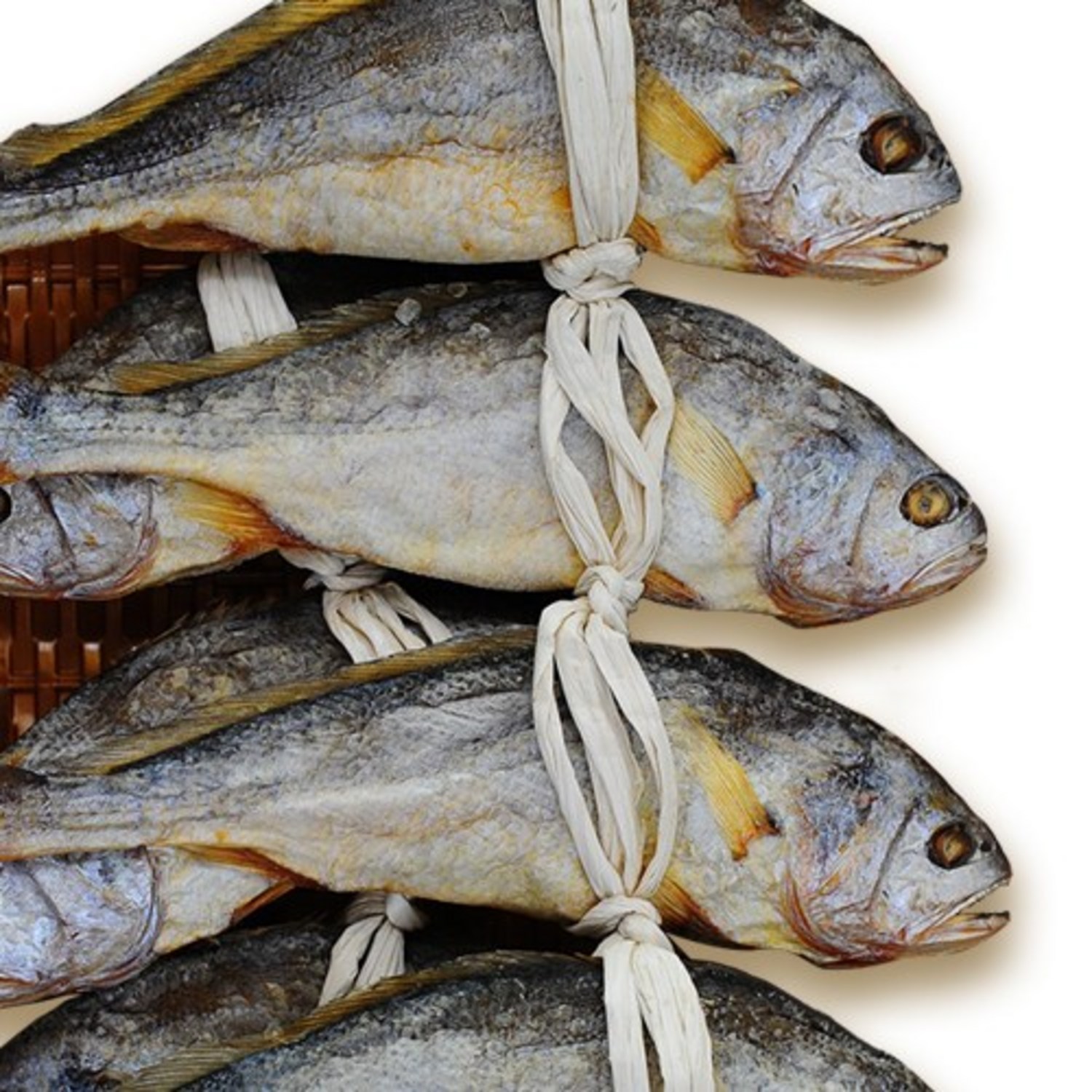 밥도둑 영광 보리굴비, 지금 바로 득템하세요!