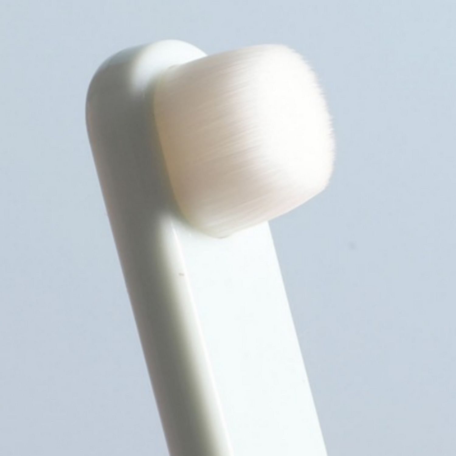 반려동물 구강 건강을 지키는 필수 아이템