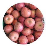 5kg(대과) × 1개