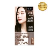 N4 자연흑갈색