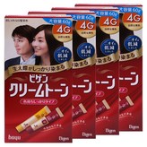 01. 자연 밤색4G
