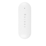 화이트 (WHITE)
