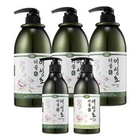 더블모 어성초샴푸 5종 세트 1000ml x 3 + 미스트 모발팩 샴푸300ml 중 2개 한방 두피 대용량, 더블모 어성초 샴푸 1000ml x 3개, [ED4]샴푸 300ml+모발팩 300ml