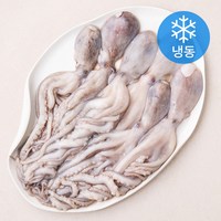 비비수산 살아있을때 얼린 신선한 낙지 (냉동), 1개, 850g(6미)