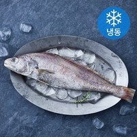 아라보감 국내산 손질 참민어 (냉동), 350g 내외, 1개