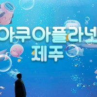 [제주시,서귀포시] |제주|아쿠아플라넷 입장권+핫플카페