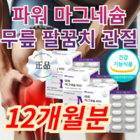 바르노웰 파워 마그네슘 올인원 400mg, 1세트, 360정